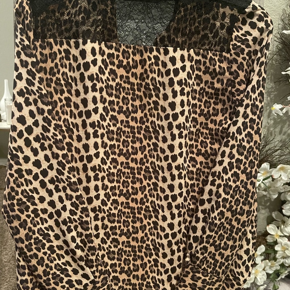 Zara, Basic Collection, Size Us Small - image 2